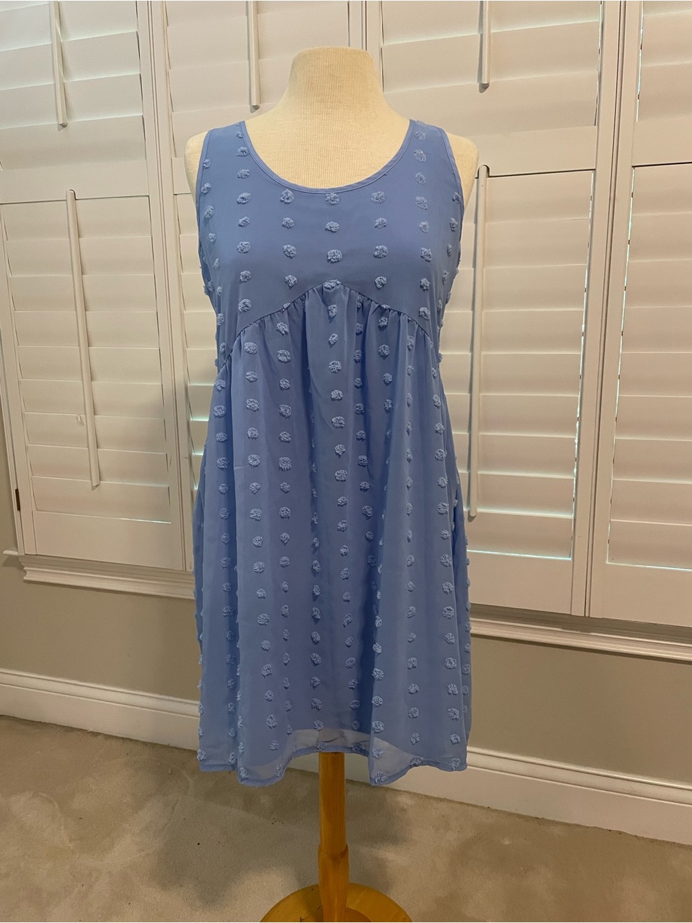 Zenana Outfitters Light Blue Sleeveless Swiss Dot Dress